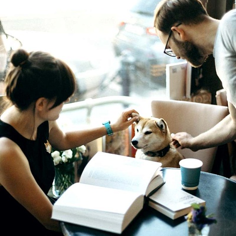 8 хороших книг о собаках: от классических до современных — блог Storyport